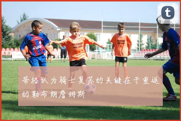蒂格认为骑士复苏的关键在于重返的勒布朗詹姆斯